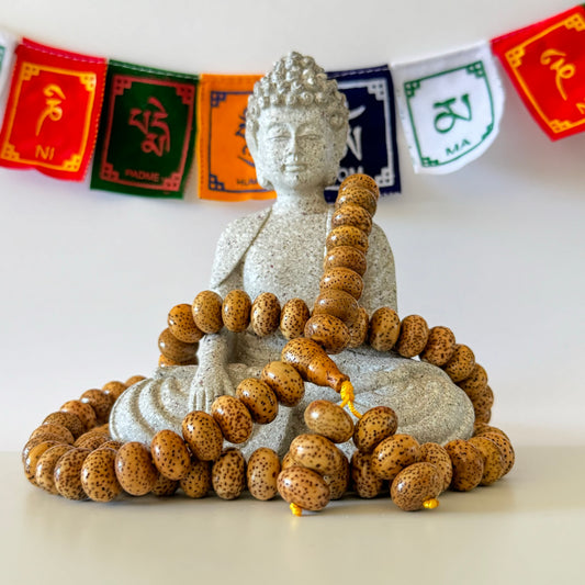 108 Tibetan Bodhi Lotus Seeds Disk Shape Mala